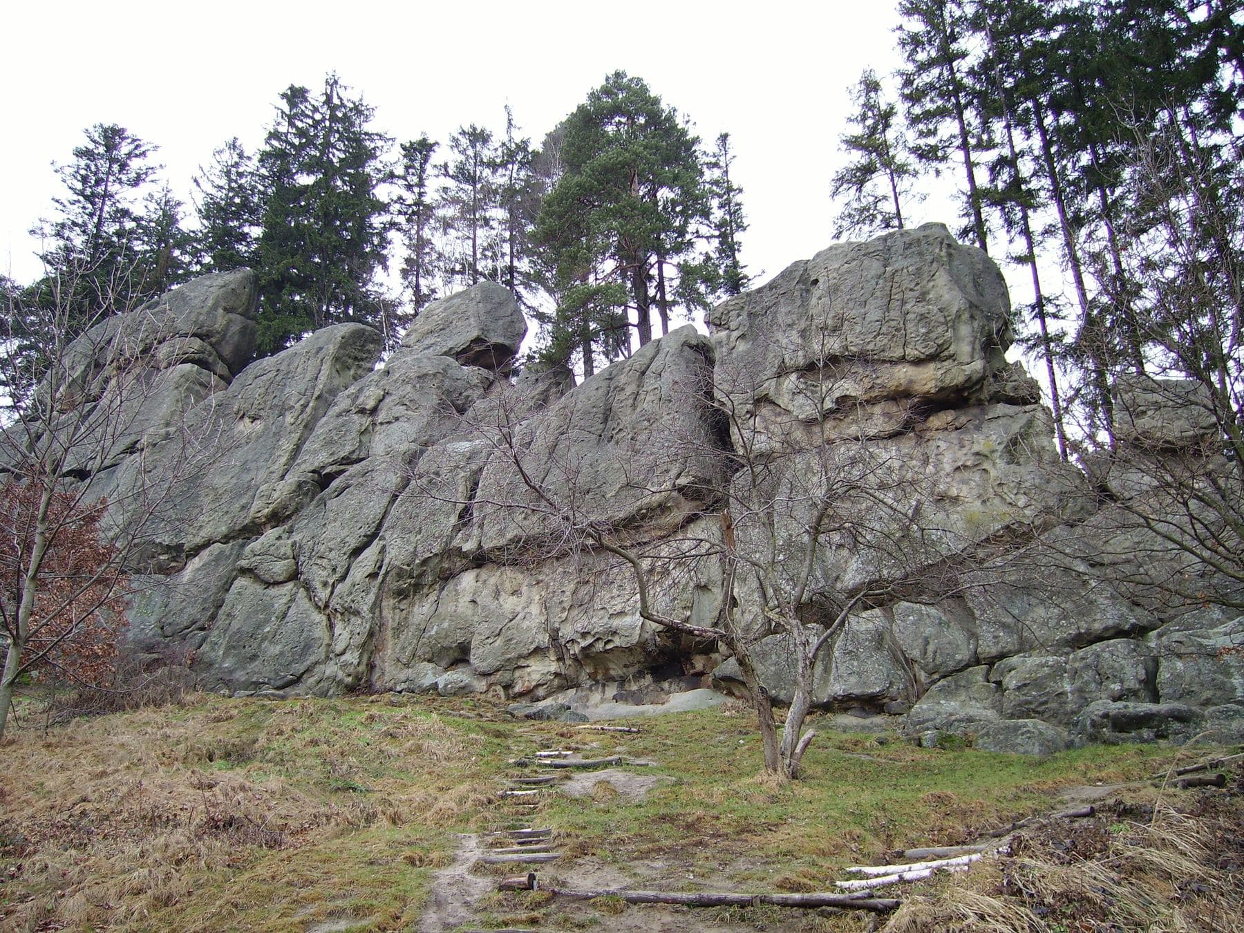 Pískovcová stěna přírodní památky Čertovy skály nad Lidečkem